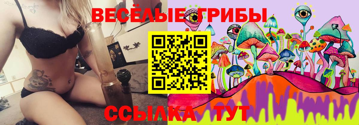 Ишимбай  Галлюциногенные грибы ЛСД  цена   Вход с VPN 